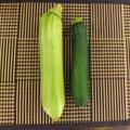 ズッキーニとエホバック